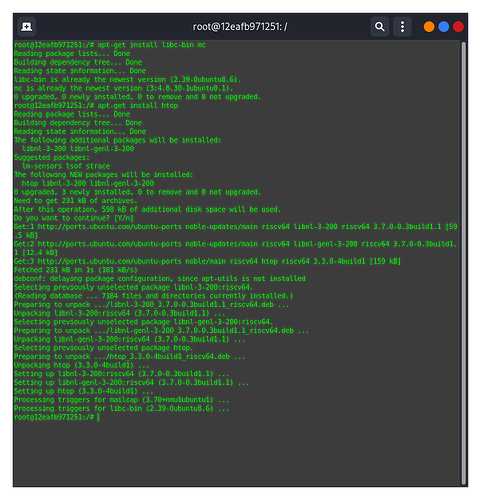 Emu riscv64 not problems with apt-get